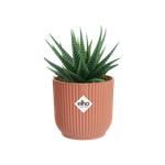 vibes fold rond mini 7cm rose poudré